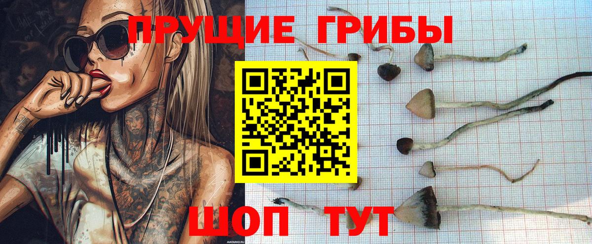 Псилоцибиновые грибы прущие грибы  Вход с VPN  Губкин 