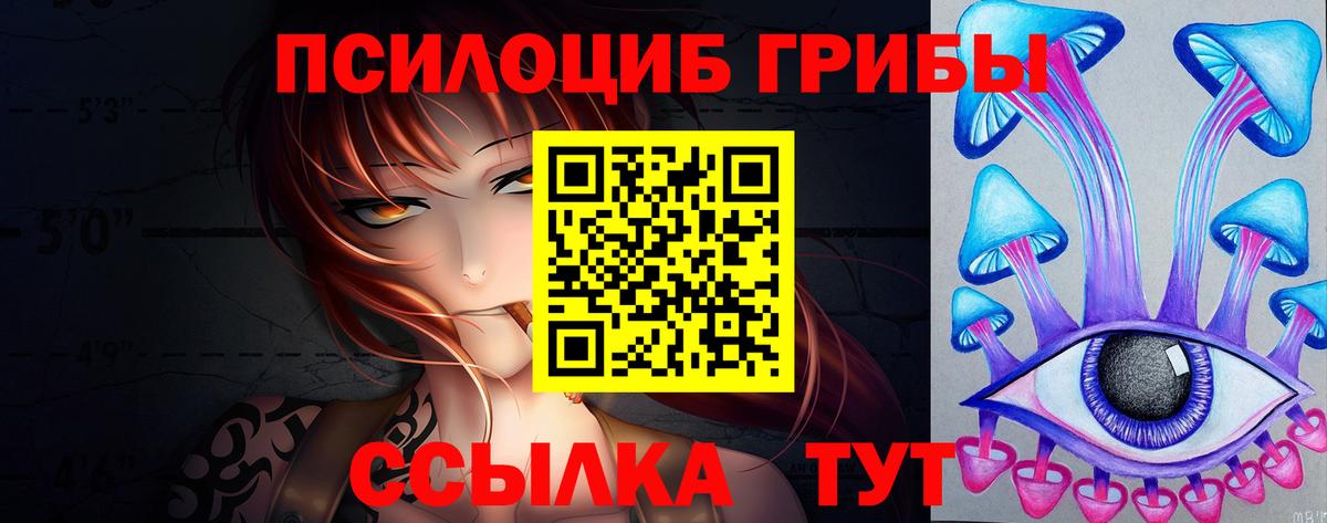 Псилоцибиновые грибы Psilocybe Губкин
